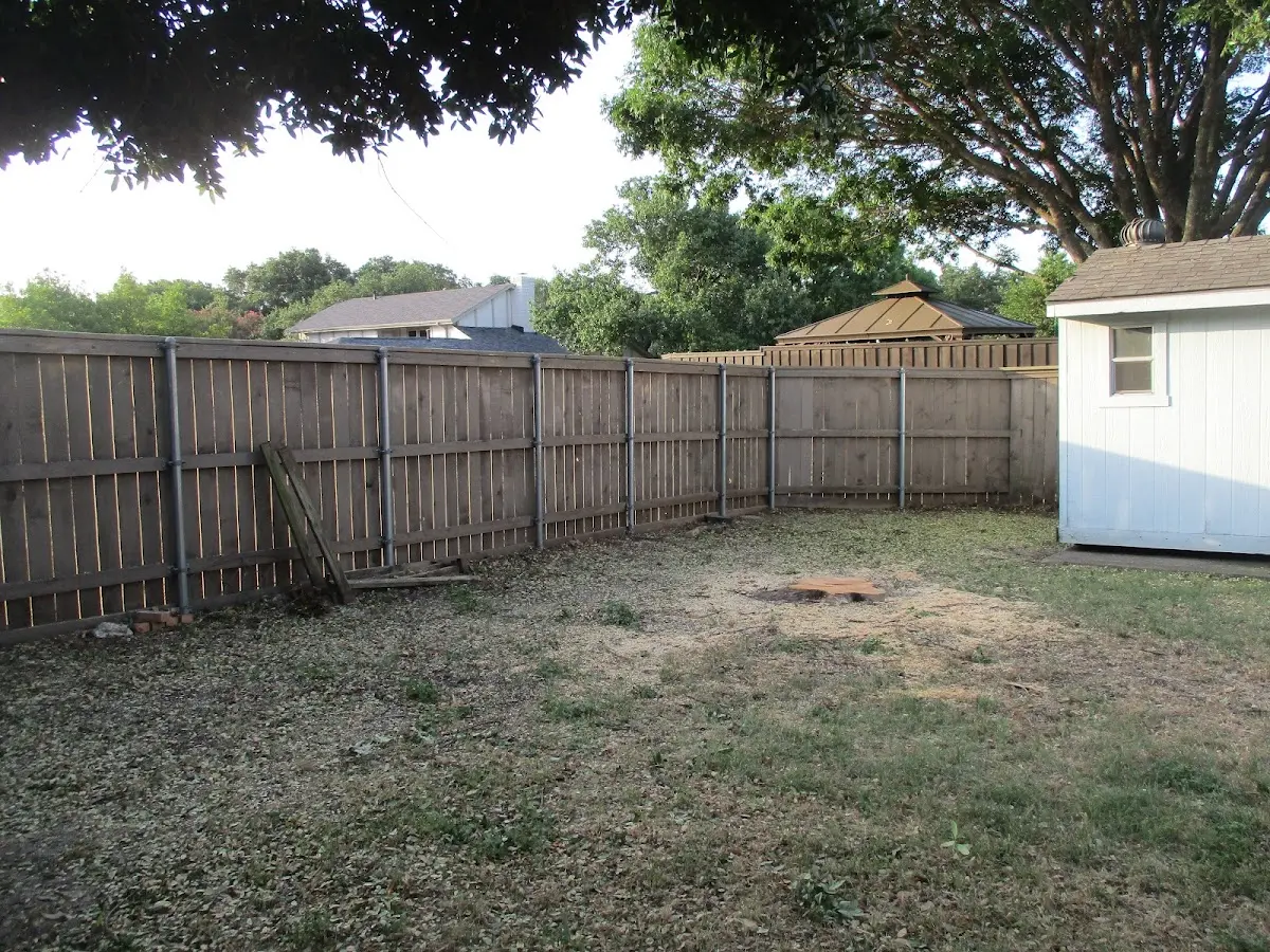 Cleared yard after professional tree removal in Greeley